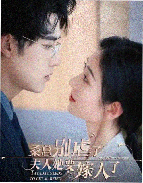 扫毒2票房资讯